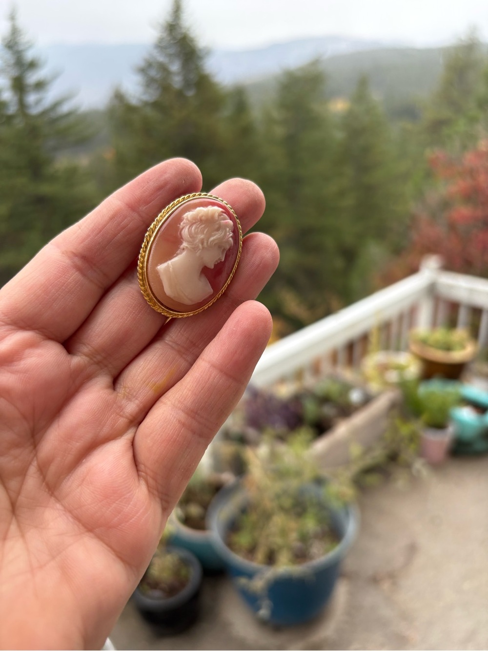 Vintage Oval Portrait Cameo Brooch Craved Female